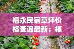 龙飞九五 第3页