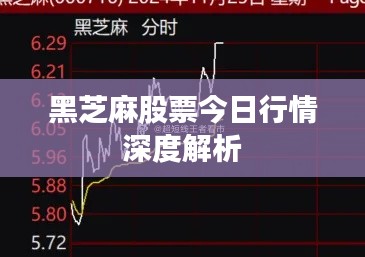 黑芝麻股票今日行情深度解析