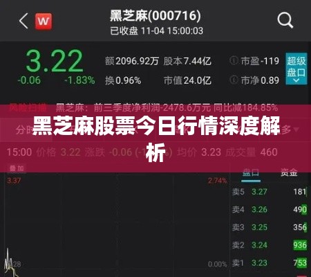 黑芝麻股票今日行情深度解析
