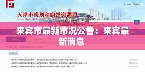 蚁出蚋飞 第4页