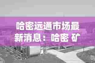哈密远通市场最新消息：哈密 矿 