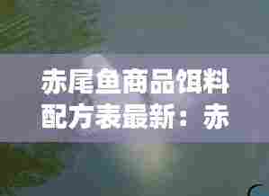 赤尾鱼商品饵料配方表最新：赤尾怎么钓用什么钓最好 