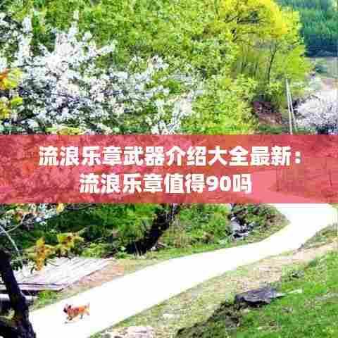 流浪乐章武器介绍大全最新:流浪乐章值得90吗