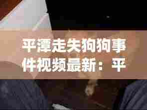 鸟集鳞萃 第4页