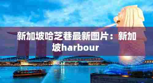 新加坡哈芝巷最新图片:新加坡harbour