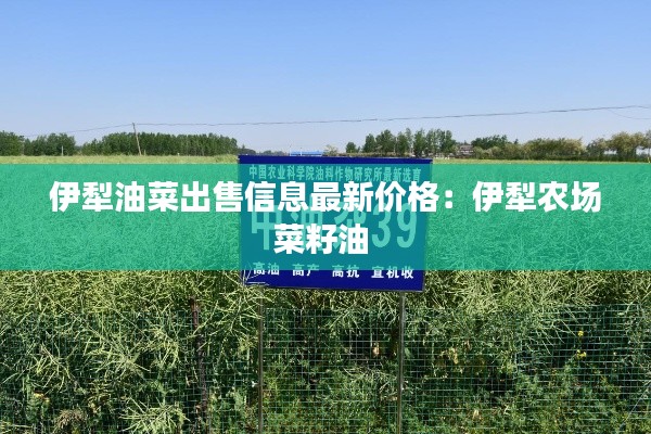 伊犁油菜出售信息最新价格:伊犁农场菜籽油