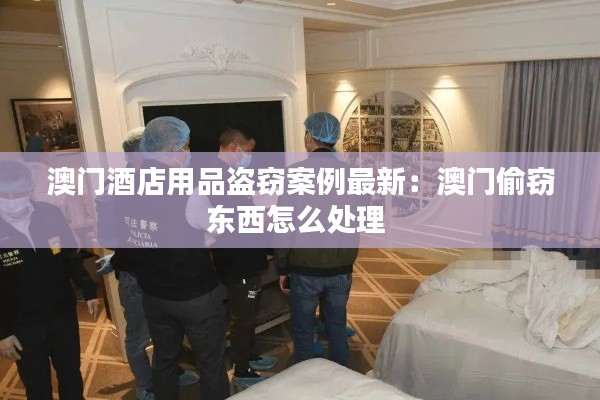 澳门酒店用品盗窃案例最新:澳门偷窃东西怎么处理