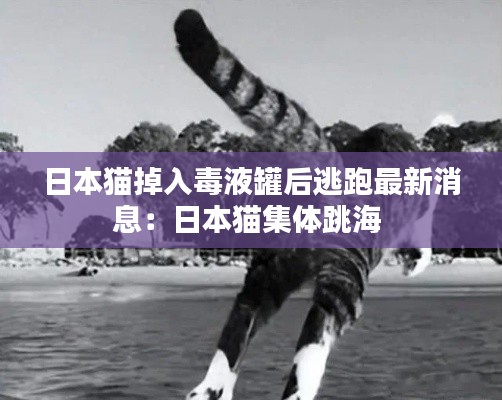 日本猫掉入毒液罐后逃跑最新消息：日本猫集体跳海 