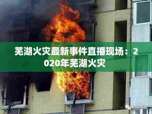 凤鸟不至 第4页