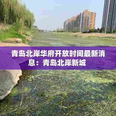 青岛北岸华府开放时间最新消息：青岛北岸新城 