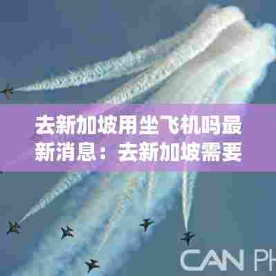去新加坡用坐飞机吗最新消息:去新加坡需要哪些手续