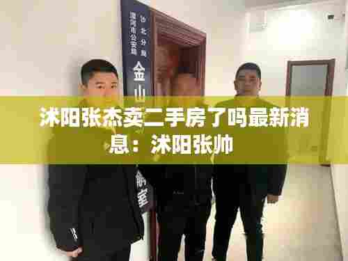 沭阳张杰卖二手房了吗最新消息:沭阳张帅