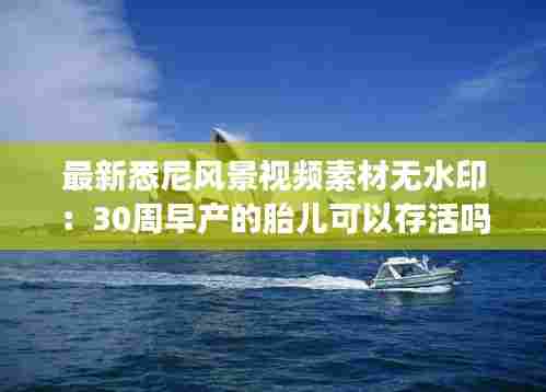最新悉尼风景视频素材无水印:30周早产的胎儿可以存活吗