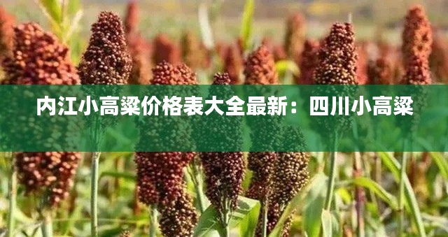 翰飞戾天 第5页