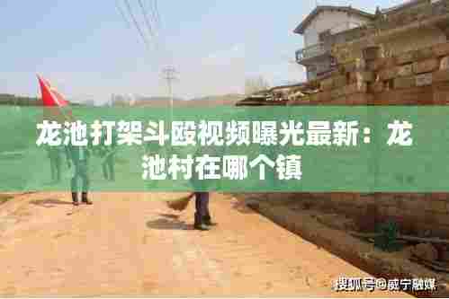 鹤立鸡群 第4页