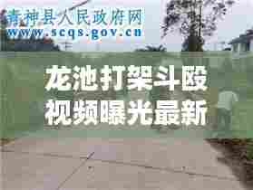 龙池打架斗殴视频曝光最新:龙池村在哪个镇