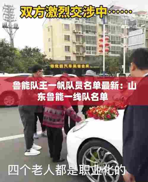 鲁能队王一帆队员名单最新：山东鲁能一线队名单 