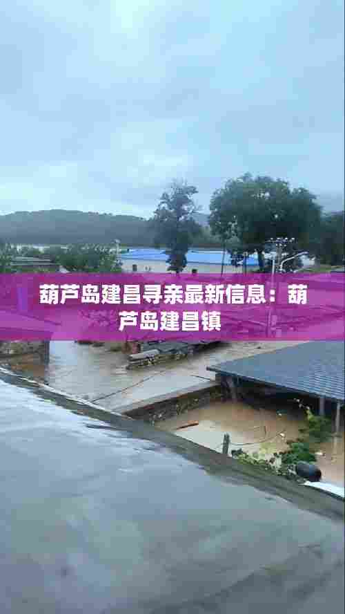 葫芦岛建昌寻亲最新信息:葫芦岛建昌镇