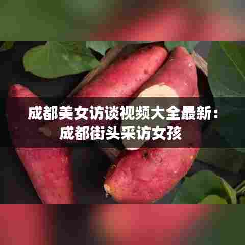 成都美女访谈视频大全最新:成都街头采访女孩