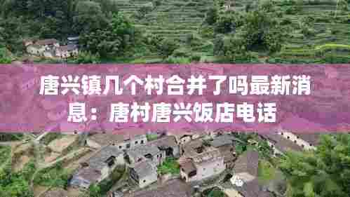 唐兴镇几个村合并了吗最新消息:唐村唐兴饭店电话