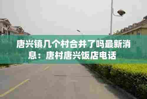 唐兴镇几个村合并了吗最新消息:唐村唐兴饭店电话