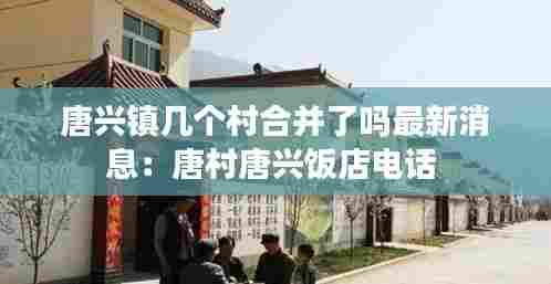 唐兴镇几个村合并了吗最新消息:唐村唐兴饭店电话