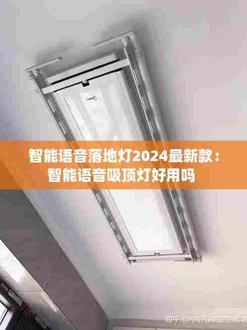 智能语音落地灯2024最新款：智能语音吸顶灯好用吗 