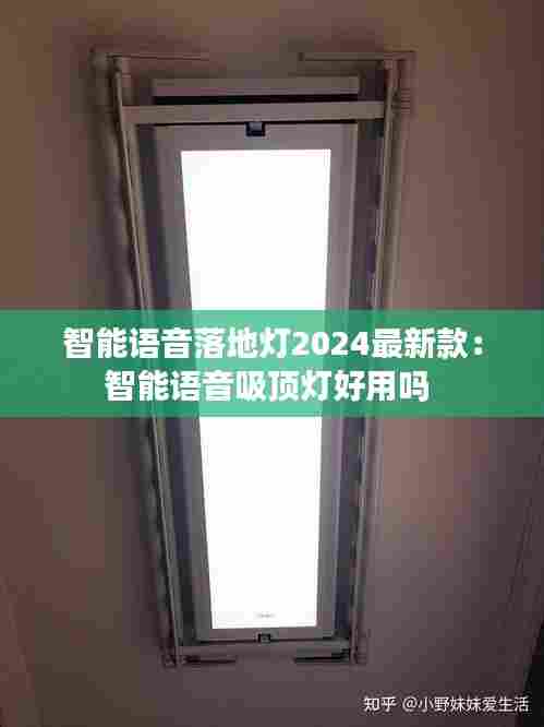 智能语音落地灯2024最新款:智能语音吸顶灯好用吗