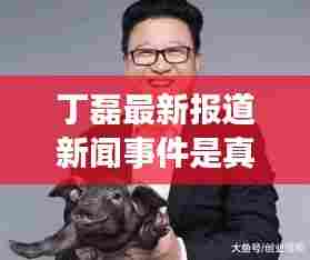 丁磊最新报道新闻事件是真的吗:丁磊百科