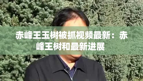 赤峰王玉树被抓视频最新:赤峰王树和最新进展