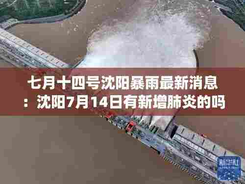 七月十四号沈阳暴雨最新消息:沈阳7月14日有新增肺炎的吗