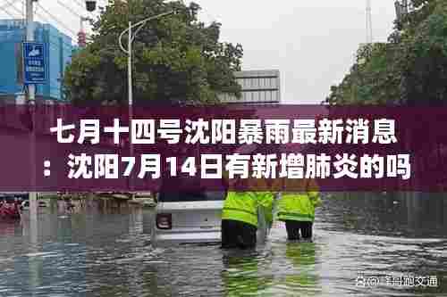 七月十四号沈阳暴雨最新消息:沈阳7月14日有新增肺炎的吗