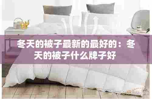 冬天的被子最新的最好的：冬天的被子什么牌子好 