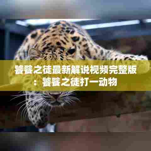 饕餮之徒最新解说视频完整版:饕餮之徒打一动物