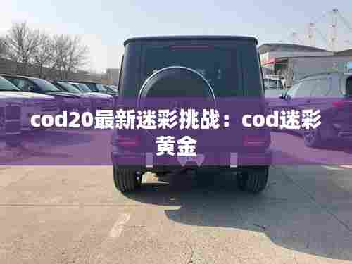 cod20最新迷彩挑战:cod迷彩 黄金