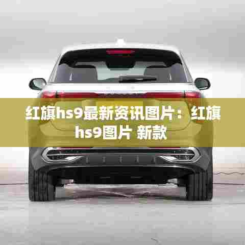 红旗hs9最新资讯图片:红旗hs9图片 新款