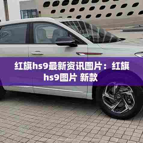 红旗hs9最新资讯图片:红旗hs9图片 新款