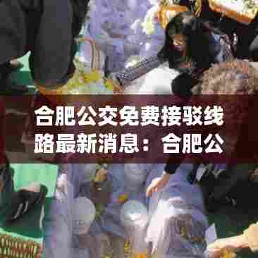 合肥公交免费接驳线路最新消息:合肥公交查询路线实时查询