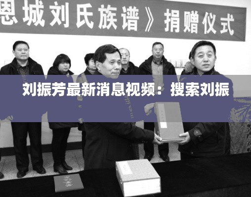 刘振芳最新消息视频：搜索刘振 