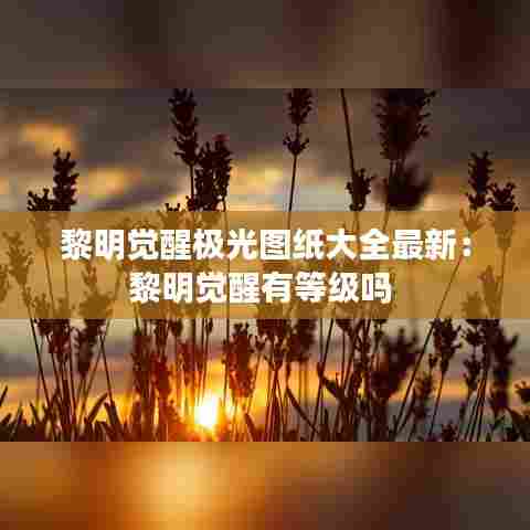 黎明觉醒极光图纸大全最新:黎明觉醒有等级吗