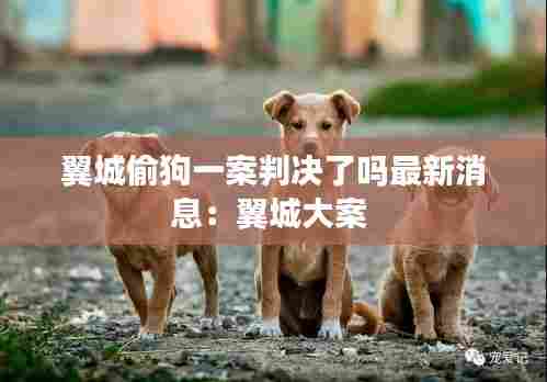 翼城偷狗一案判决了吗最新消息:翼城大案