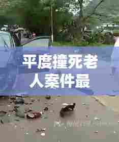 平度撞死老人案件最新情况：平度车祸2021 