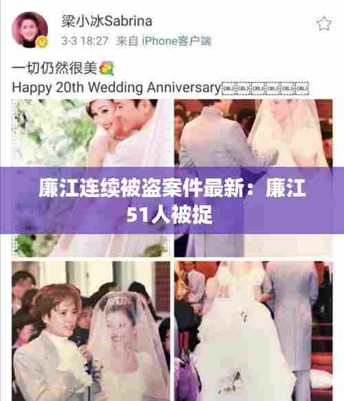 廉江连续被盗案件最新:廉江51人被捉