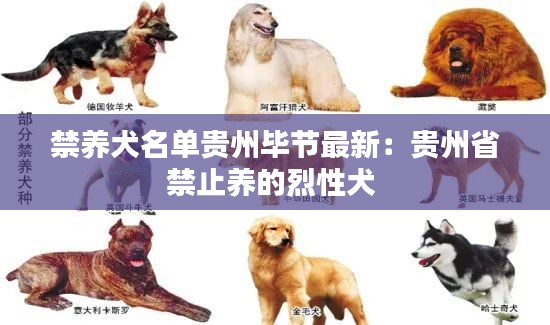 禁养犬名单贵州毕节最新：贵州省禁止养的烈性犬 