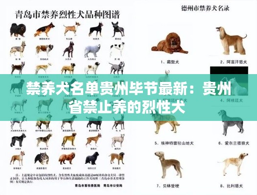 禁养犬名单贵州毕节最新:贵州省禁止养的烈性犬