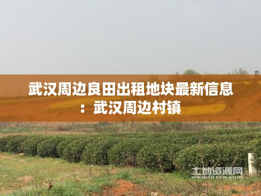 武汉周边良田出租地块最新信息:武汉周边村镇