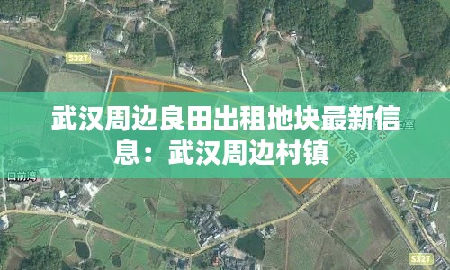 武汉周边良田出租地块最新信息:武汉周边村镇