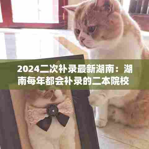 2024二次补录最新湖南:湖南每年都会补录的二本院校