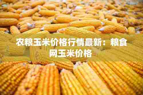 笔走如飞 第5页