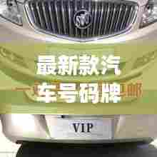 最新款汽车号码牌子图片:最新的车牌号码
